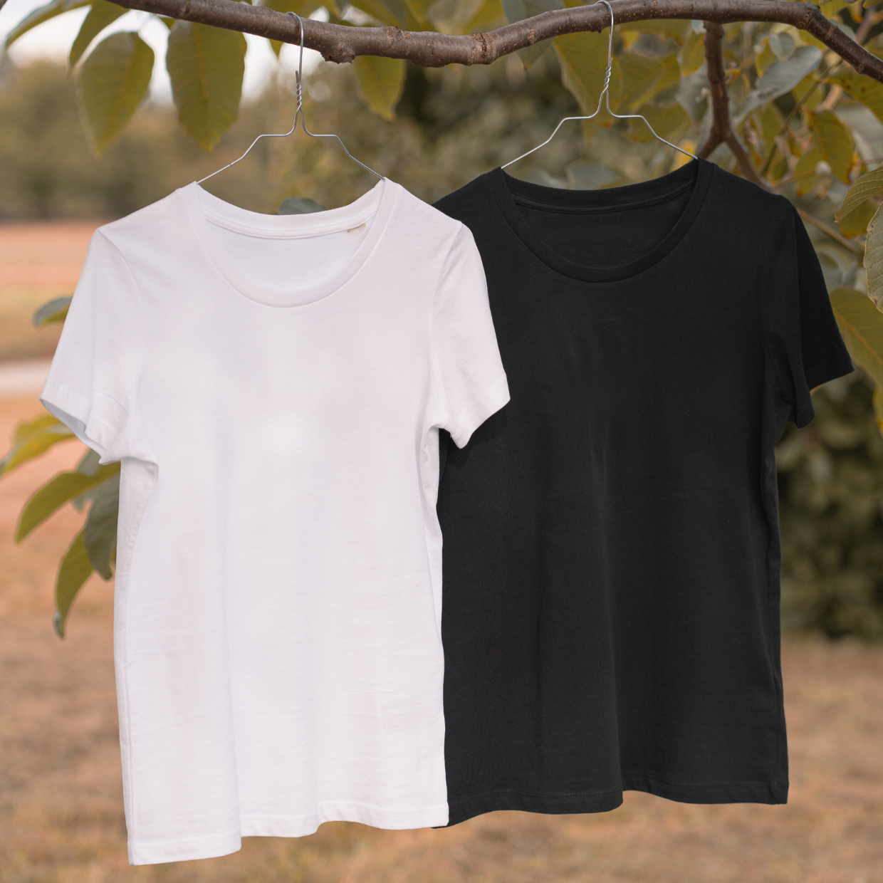 Damen-T-Shirt (kurze Ärmellänge)