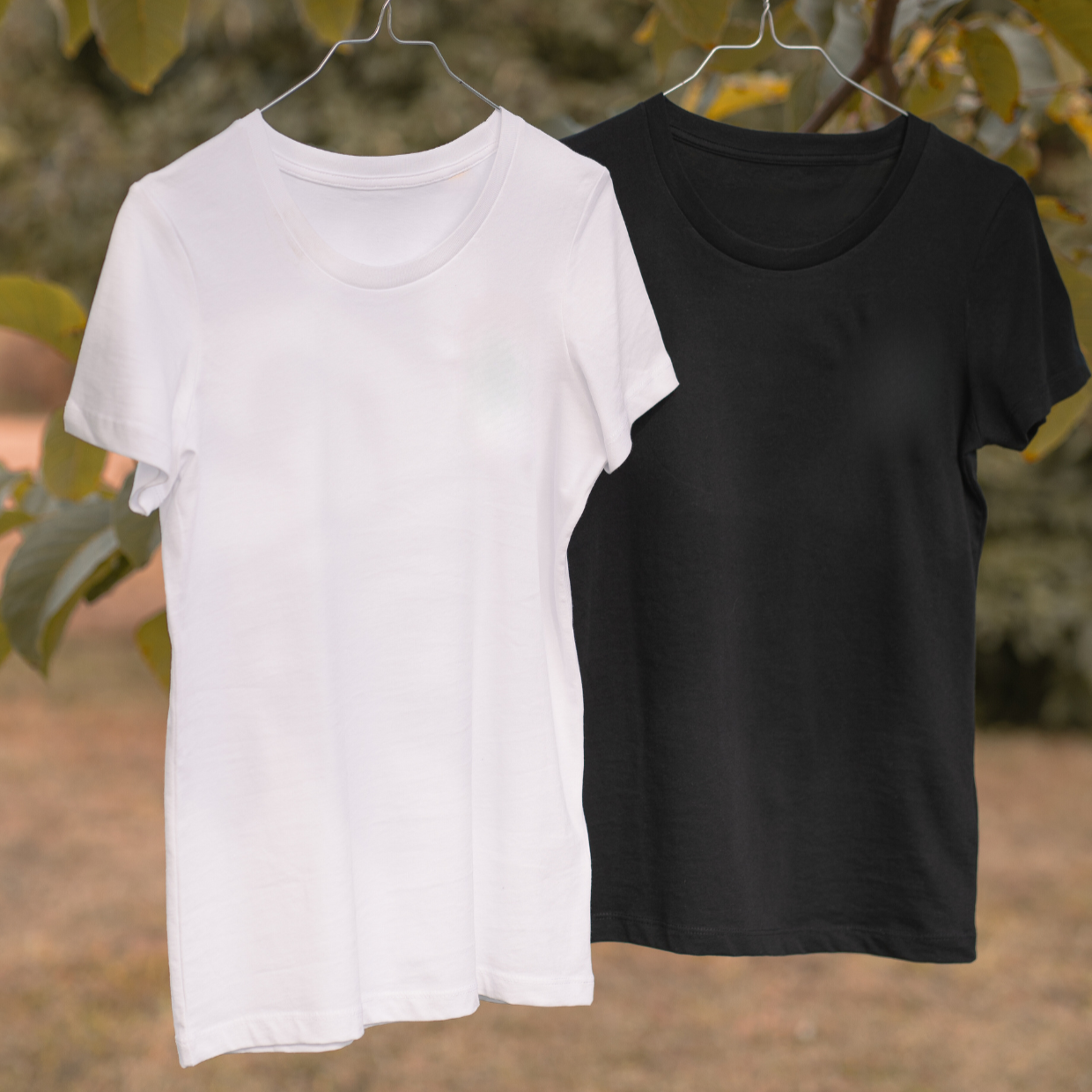 Damen-T-Shirt (kurze Ärmellänge)