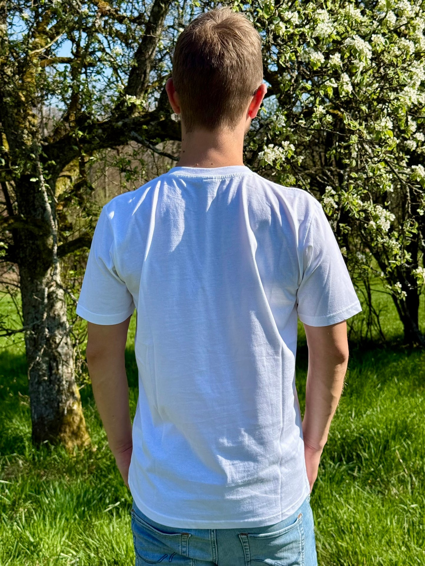 Mystery Box nur Shirts