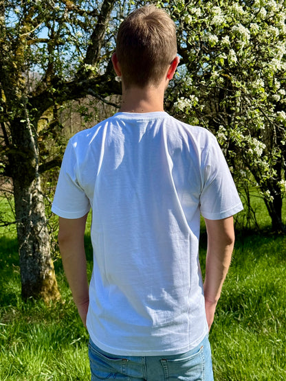 Mystery Box nur Shirts